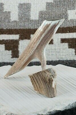Bird Zuni Fetish Carving - Harvey Harker - High Lonesome Trading