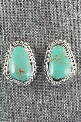 Turquoise and Sterling Silver Earrings - Sharon McCarthy