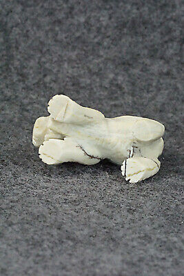 Bobcat Toad Zuni Fetish Carving - Wilfred Cheama