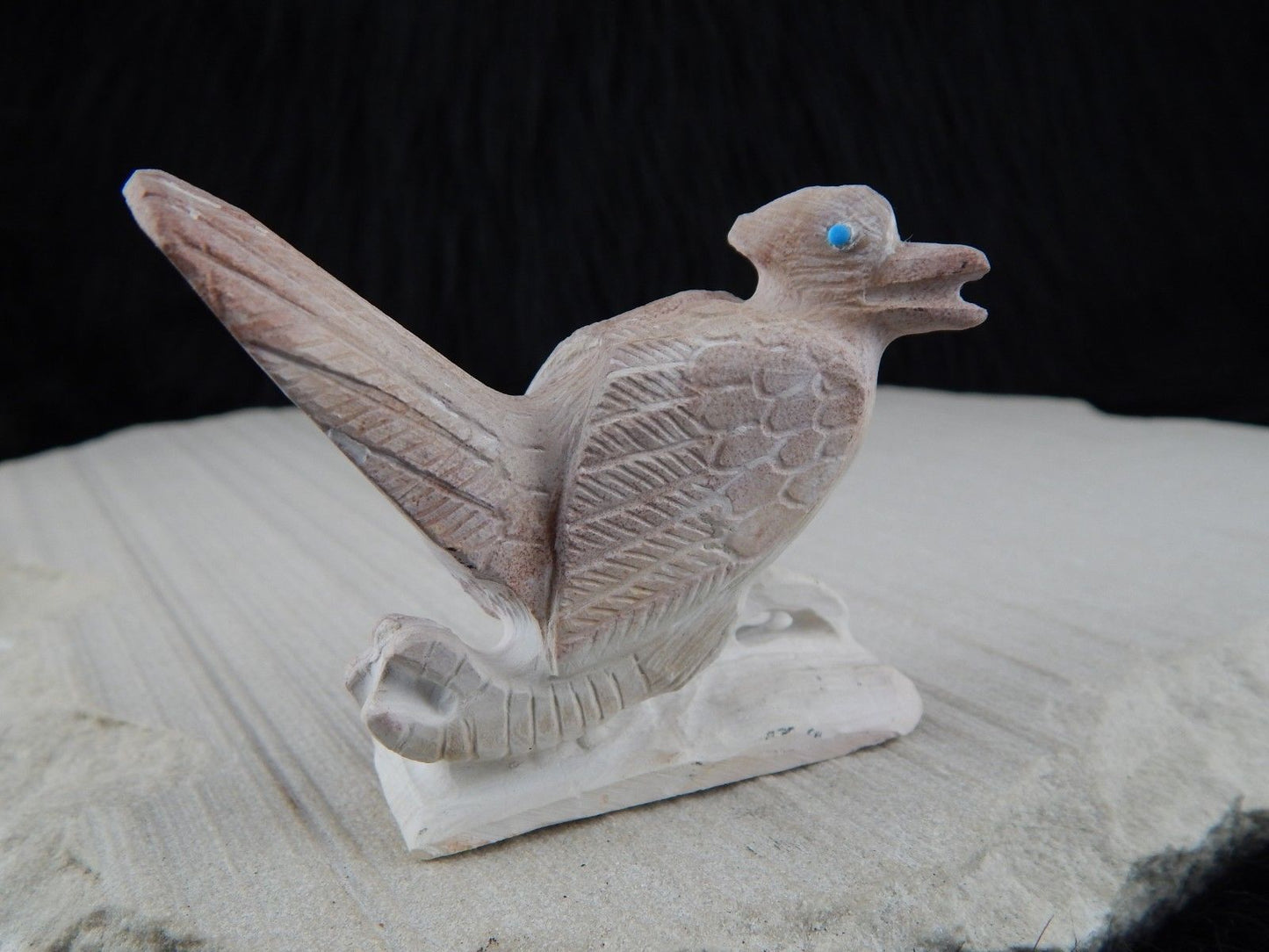 Road Runner Zuni Fetish Carving - Derrick Kaamasee - High Lonesome Trading