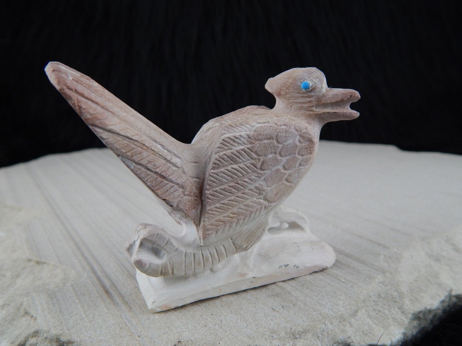 Road Runner Zuni Fetish Carving - Derrick Kaamasee - High Lonesome Trading