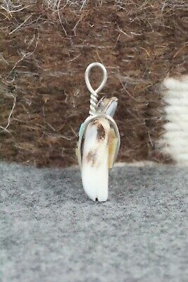 Bear Shell Pendant - Darrin Boone