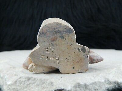 Armadillo Zuni Fetish Carving - Evan Cachini - High Lonesome Trading