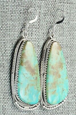 Turquoise & Sterling Silver Earrings - Sharon McCarthy