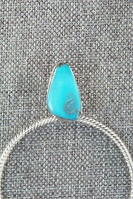 Turquoise & Sterling Silver Earrings - Annie Spencer - High Lonesome Trading