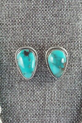 Turquoise & Sterling Silver Necklace and Earrings - Bobby Platero