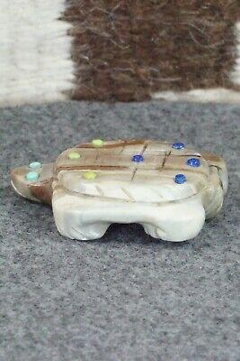 Turtle Zuni Fetish Carving - Taylor Gia - High Lonesome Trading