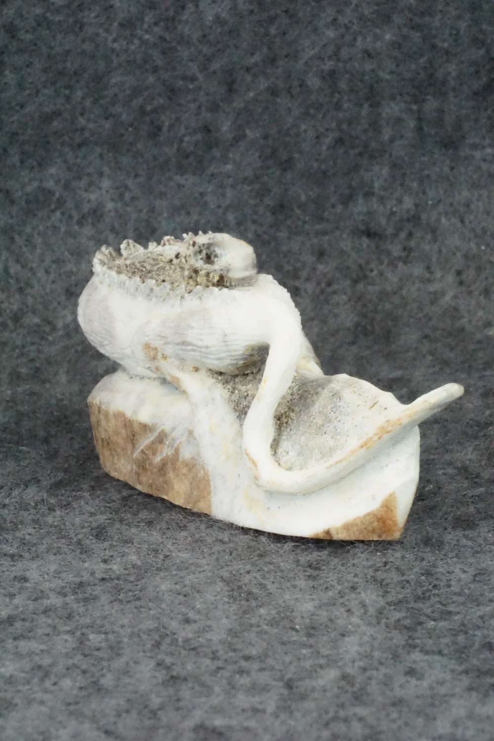 Iguana Zuni Fetish Carving - Lewis Malie Jr.