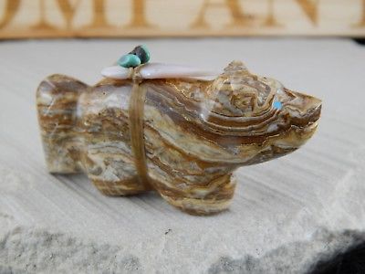 Bear Zuni Fetish Carving - Daphie Quam - High Lonesome Trading