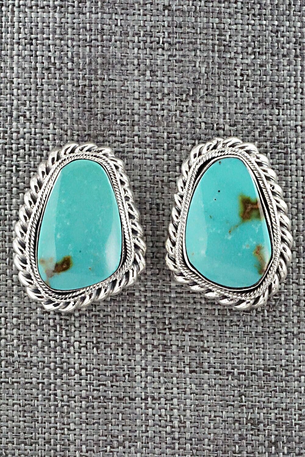 Turquoise and Sterling Silver Earrings - Sharon McCarthy