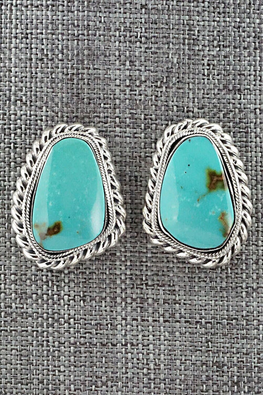 Turquoise and Sterling Silver Earrings - Sharon McCarthy