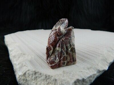 Lizard Zuni Fetish Carving - Wilfred Cheama - High Lonesome Trading