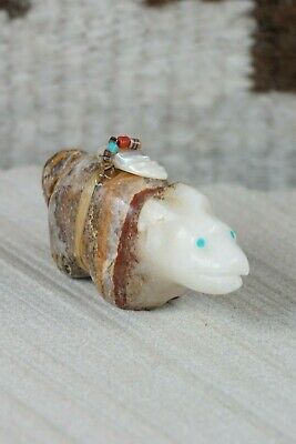Bear Zuni Fetish Carving - Peter Gasper - High Lonesome Trading