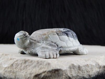 Turtle Zuni Fetish Carving - Darrell Westika - High Lonesome Trading