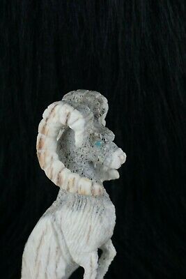 Ram Zuni Fetish Carving - Jerrold Lahaleon - High Lonesome Trading
