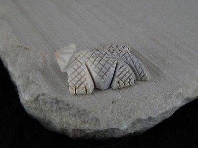 Lizard Zuni Fetish Carving - Carl Etsate - High Lonesome Trading