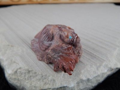 Badger Zuni Fetish Carving - Evan Cachini - High Lonesome Trading