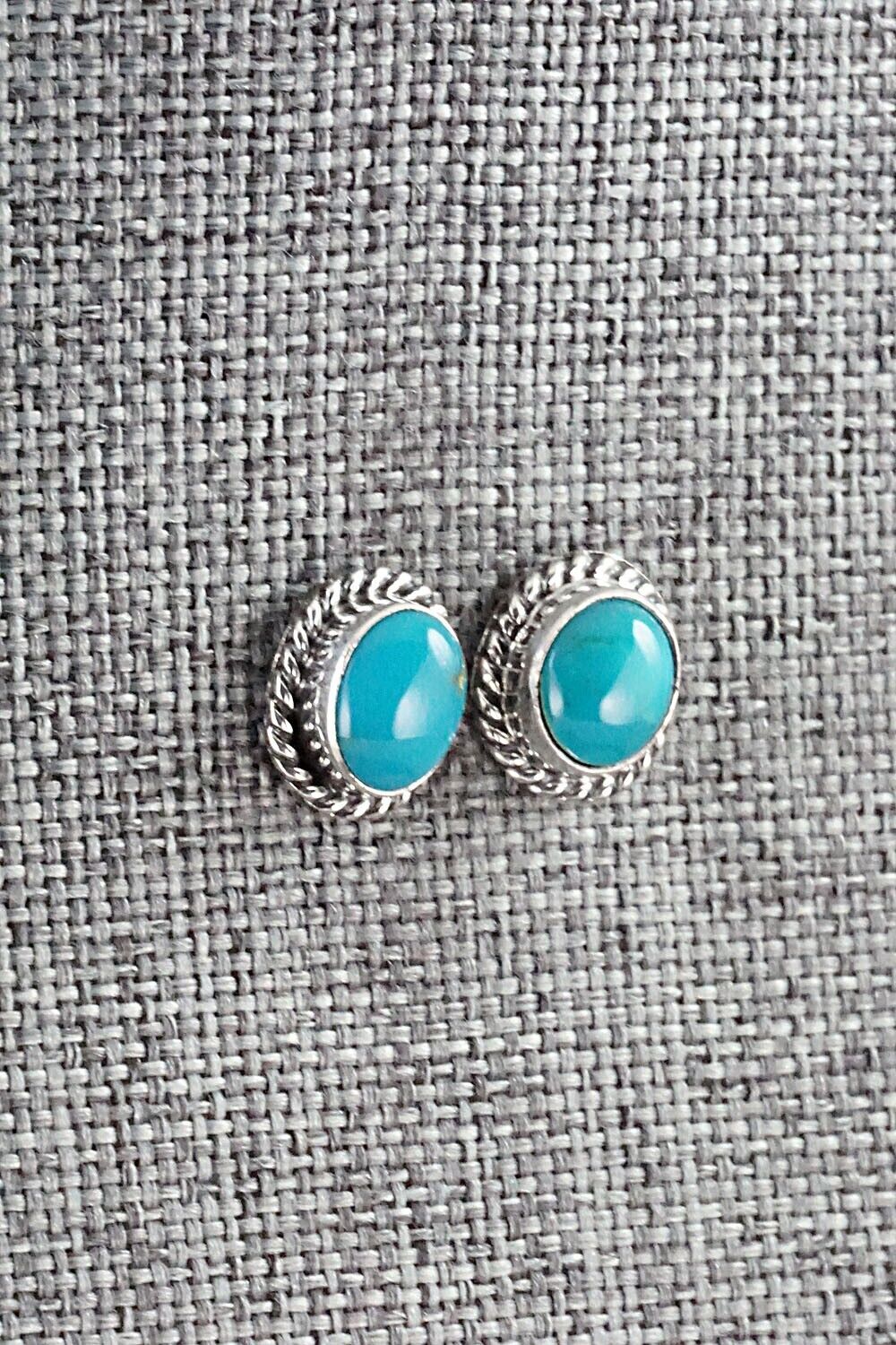Turquoise & Sterling Silver Earrings - Jan Mariano