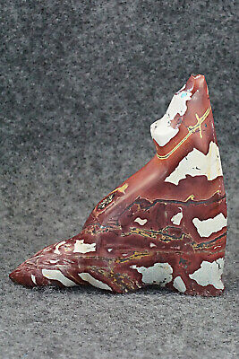 Coyote Zuni Fetish Carving - Daphne Quam