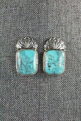 Turquoise & Sterling Silver Earrings - Sheena Jack
