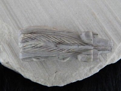 Bear Zuni Fetish Carving - Native American - High Lonesome Trading