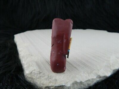 Bear Zuni Fetish Carving - Robert Cellicion - High Lonesome Trading