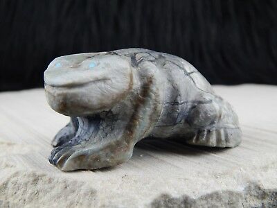Frog Zuni Fetish Carving - Herbert Him Jr - High Lonesome Trading