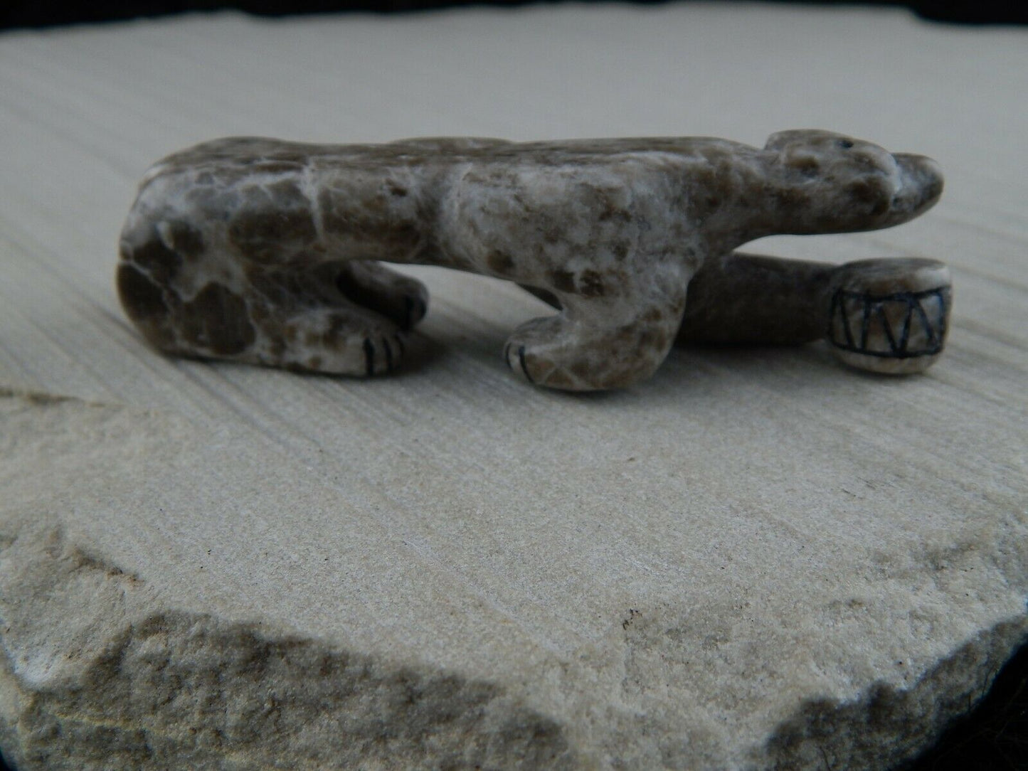 Mountain Lion Zuni Fetish Carving - Rickson Kallestewa - High Lonesome Trading