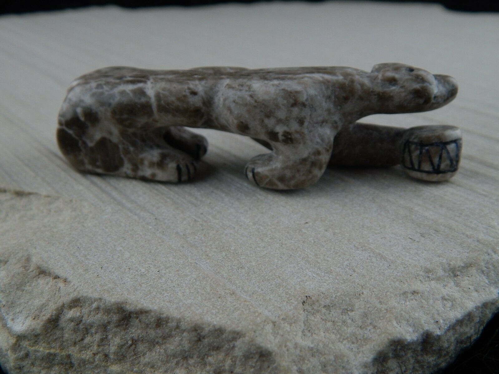 Mountain Lion Zuni Fetish Carving - Rickson Kallestewa - High Lonesome Trading