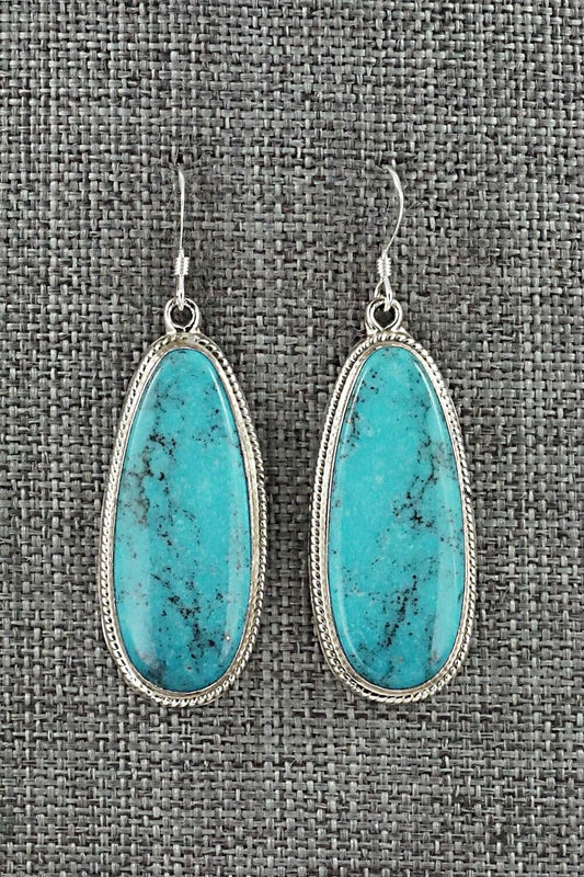 Turquoise and Sterling Silver Earrings - Sharon McCarthy