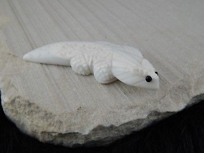 Lizard Zuni Fetish Carving - Lee Bedonie - High Lonesome Trading