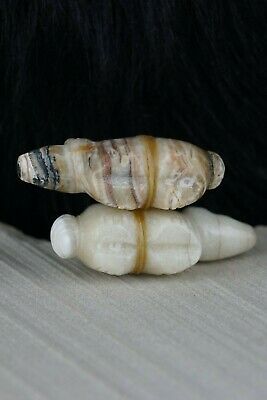 Bear Zuni Fetish Carving - Peter Gasper - High Lonesome Trading