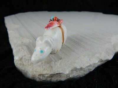 Bear Zuni Fetish Carving - Peter Gasper - High Lonesome Trading