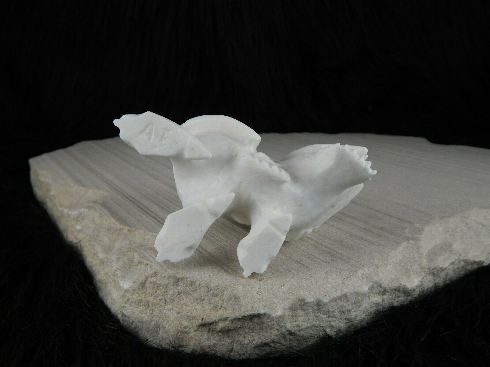 Owls Zuni Fetish Carving - Albert Eustace Sr - High Lonesome Trading