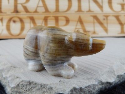 Bear Zuni Fetish Carving - Nelson Yatsattie - High Lonesome Trading