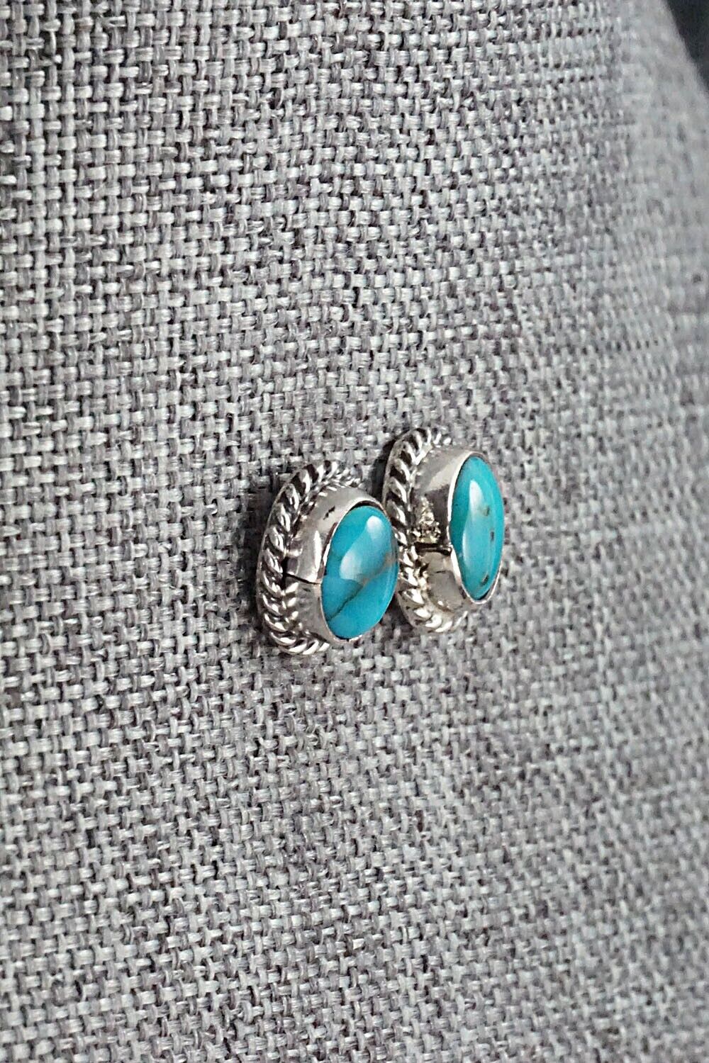 Turquoise & Sterling Silver Earrings - Jan Mariano