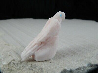 Bird Zuni Fetish Carving - Rochelle Quam - High Lonesome Trading