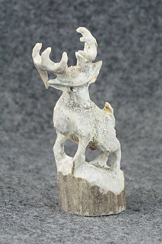 Deer Zuni Fetish Carving - Lewis Malie Jr.