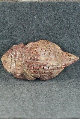 Horned Toad Zuni Fetish Carving - Jonas Hustito - High Lonesome Trading