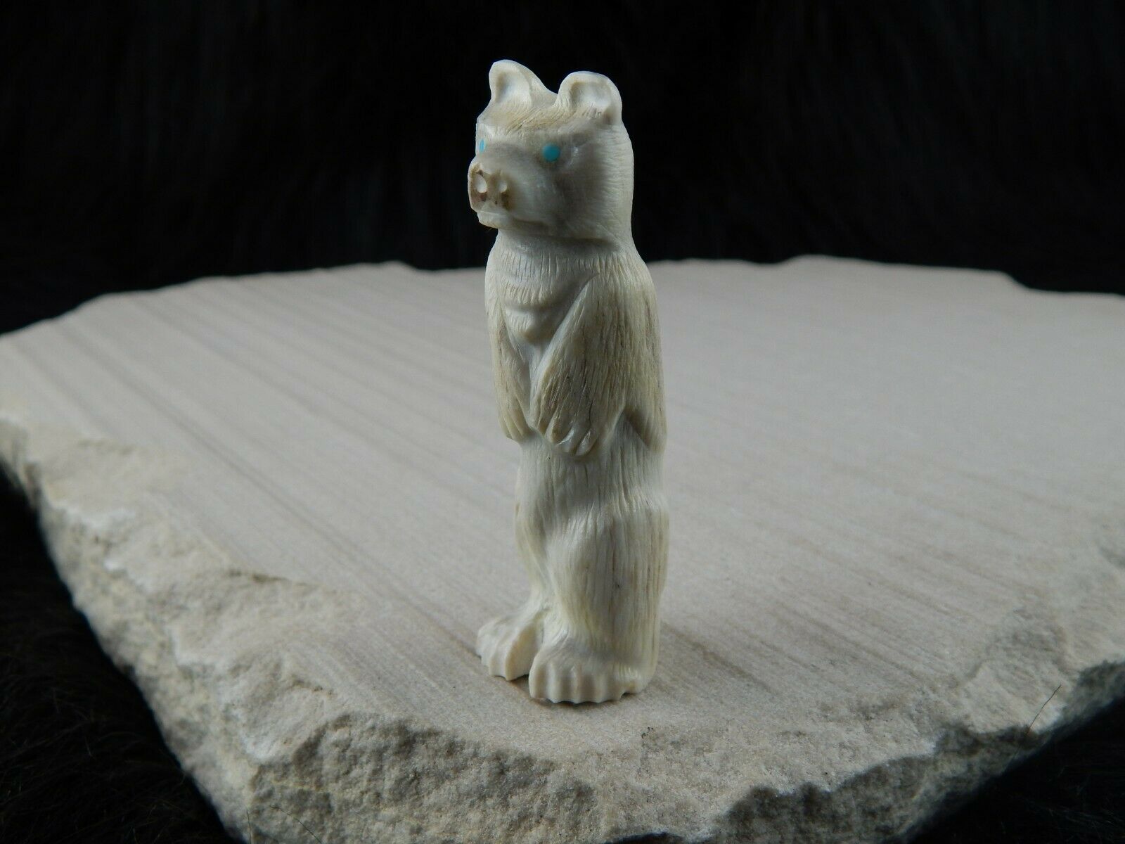 Bear Zuni Fetish Carving - Maxx Laate - High Lonesome Trading