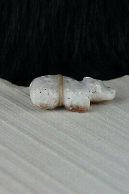 Bear Zuni Fetish Carving - Brandon Phillips - High Lonesome Trading