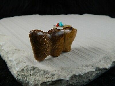Bear Zuni Fetish Carving - Daphie Quam - High Lonesome Trading