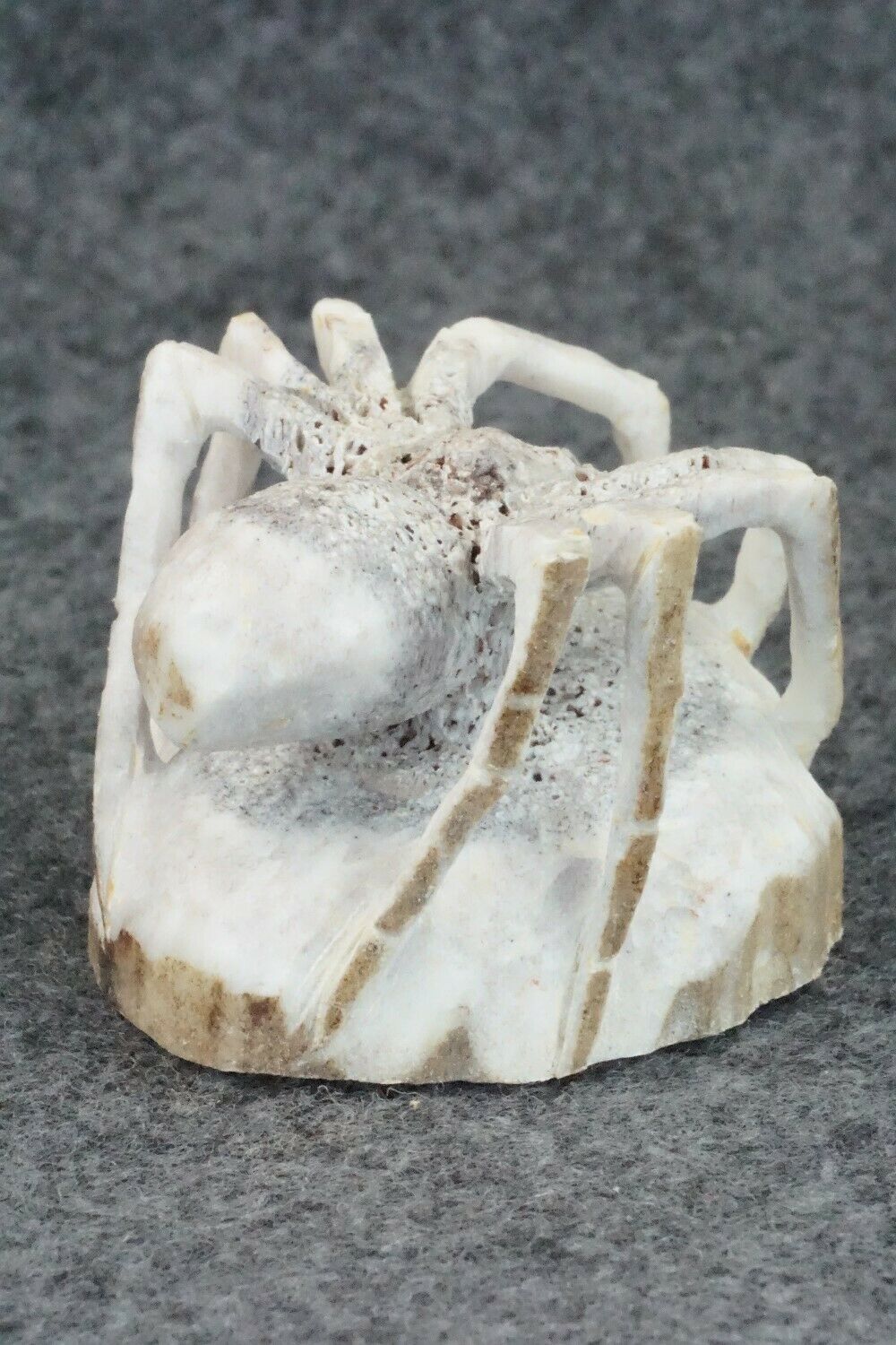 Spider Zuni Fetish Carving - Lewis Malie Jr.