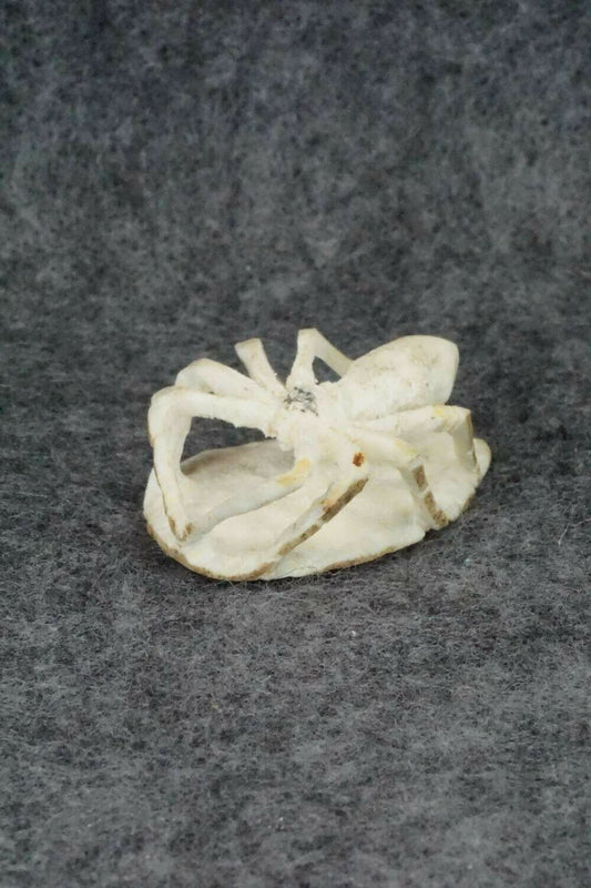 Spider Zuni Fetish Carving - Lewis Malie Jr.