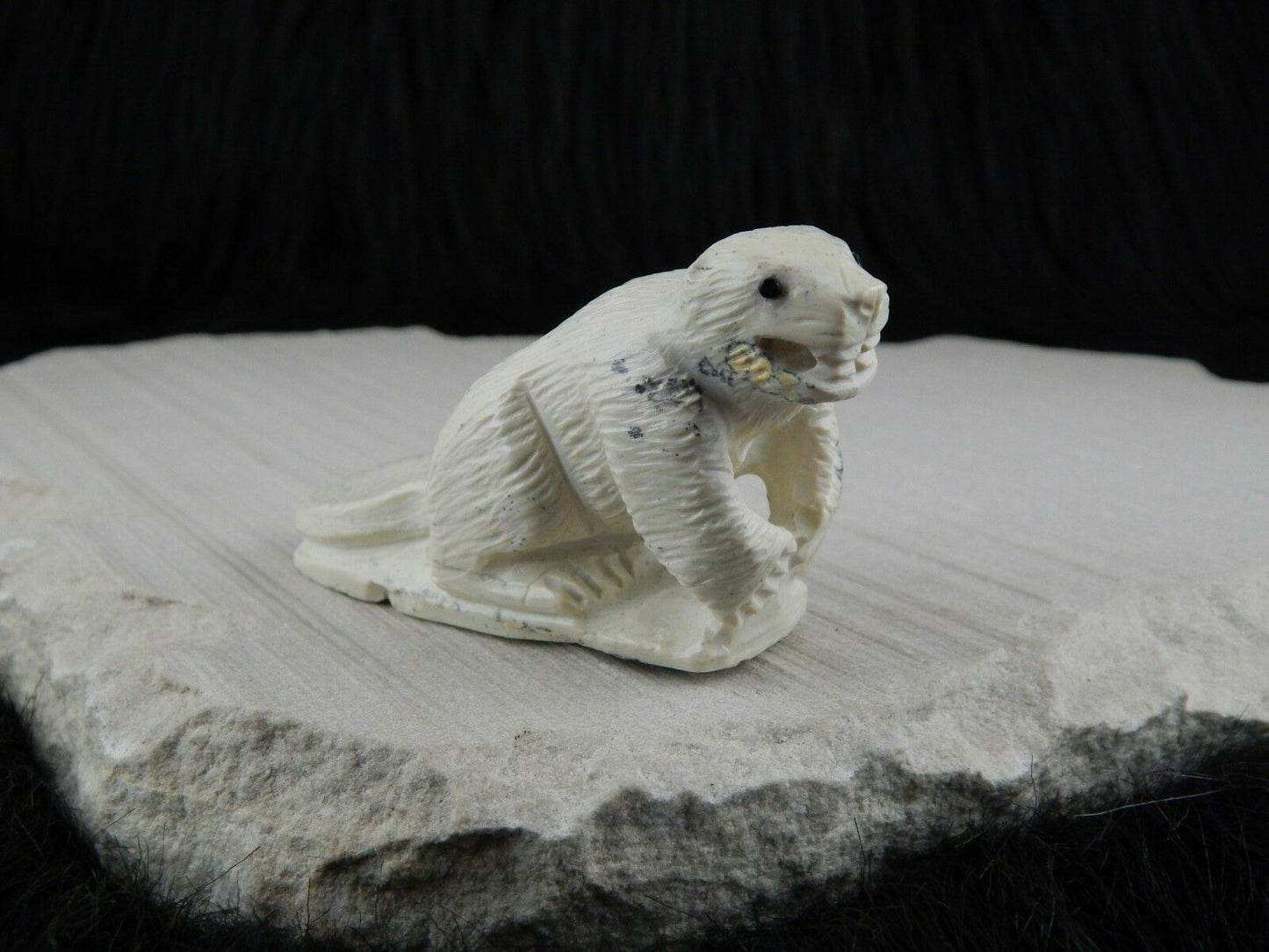 Beaver Zuni Fetish Carving- Derrick Kaamasee - High Lonesome Trading