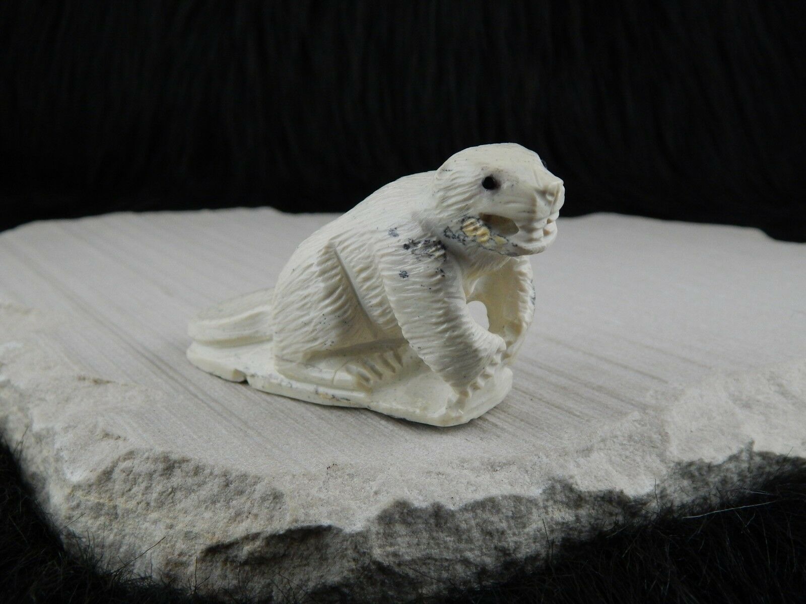 Beaver Zuni Fetish Carving- Derrick Kaamasee - High Lonesome Trading