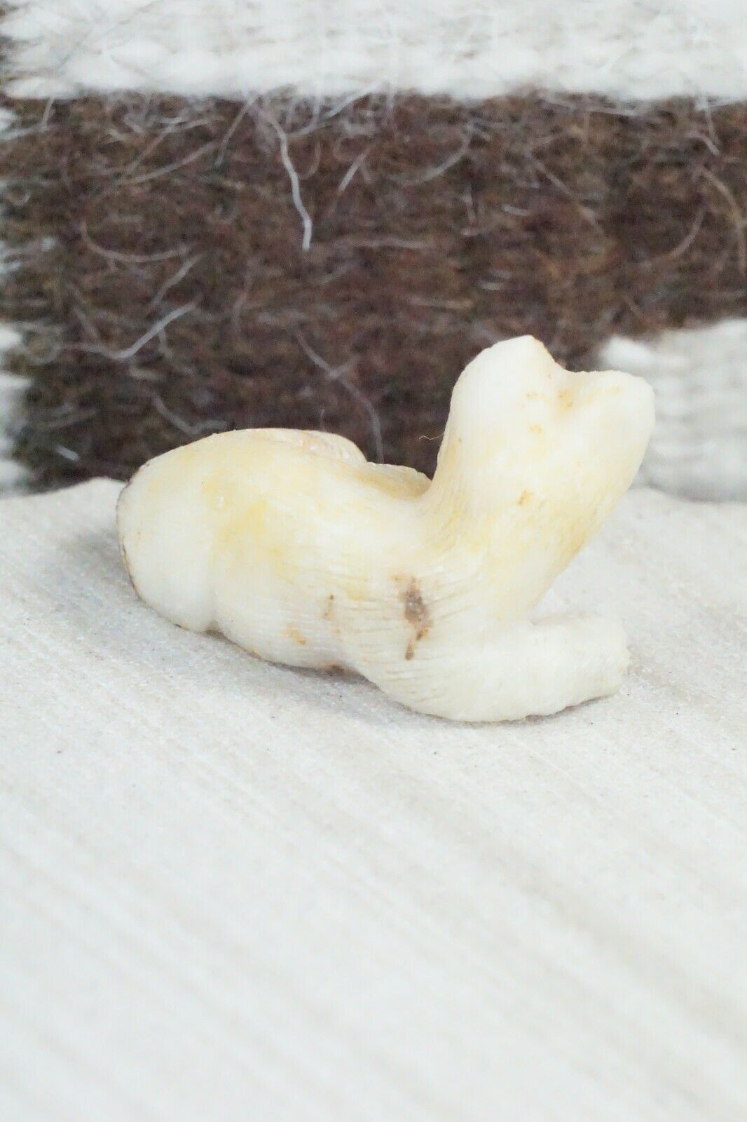Bobcat Zuni Fetish Carving - Colin Weeka