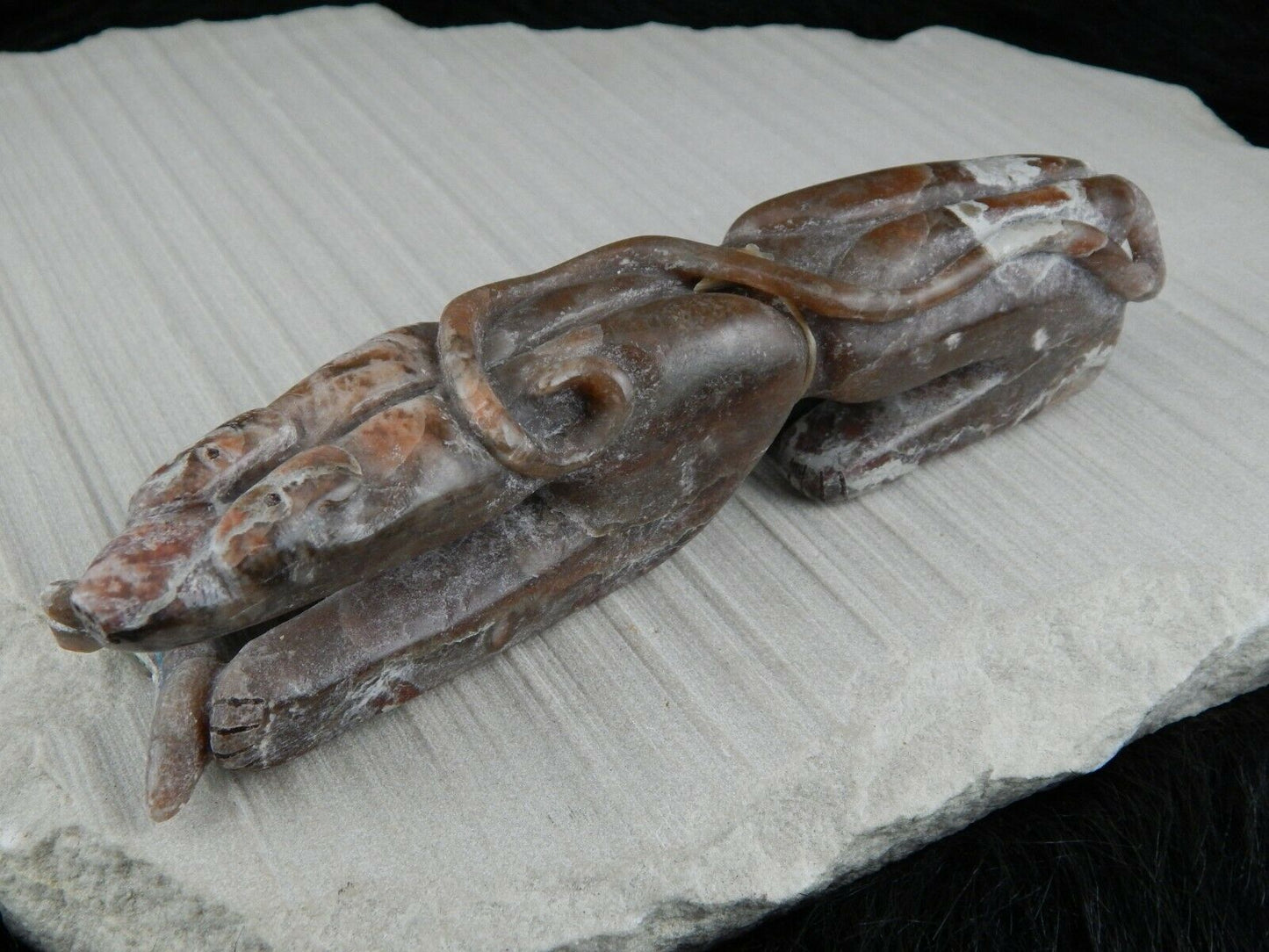 Bear Zuni Fetish Carving - Rick Kallestewa - High Lonesome Trading