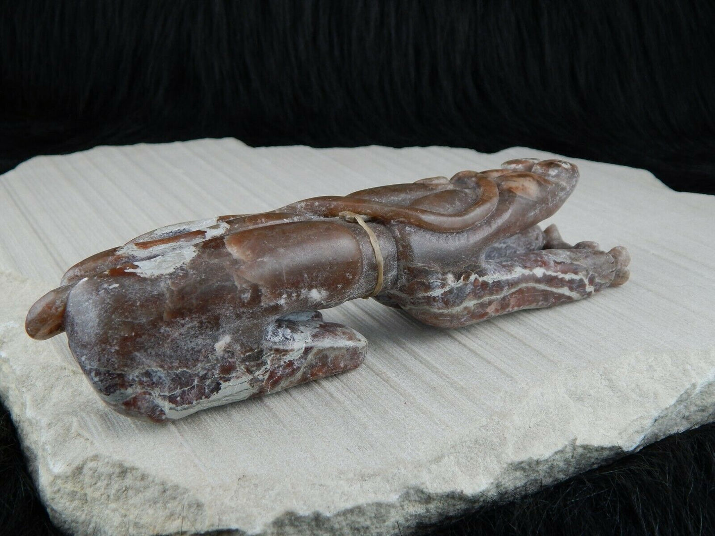 Bear Zuni Fetish Carving - Rick Kallestewa - High Lonesome Trading