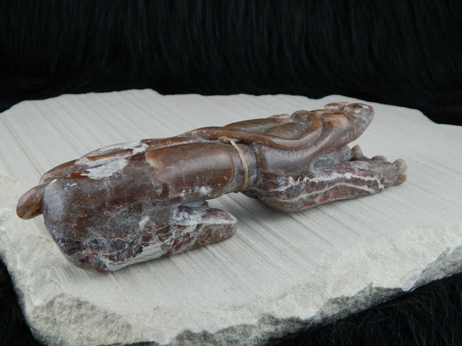 Bear Zuni Fetish Carving - Rick Kallestewa - High Lonesome Trading